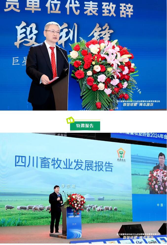 QQ截圖20250331151346.jpg